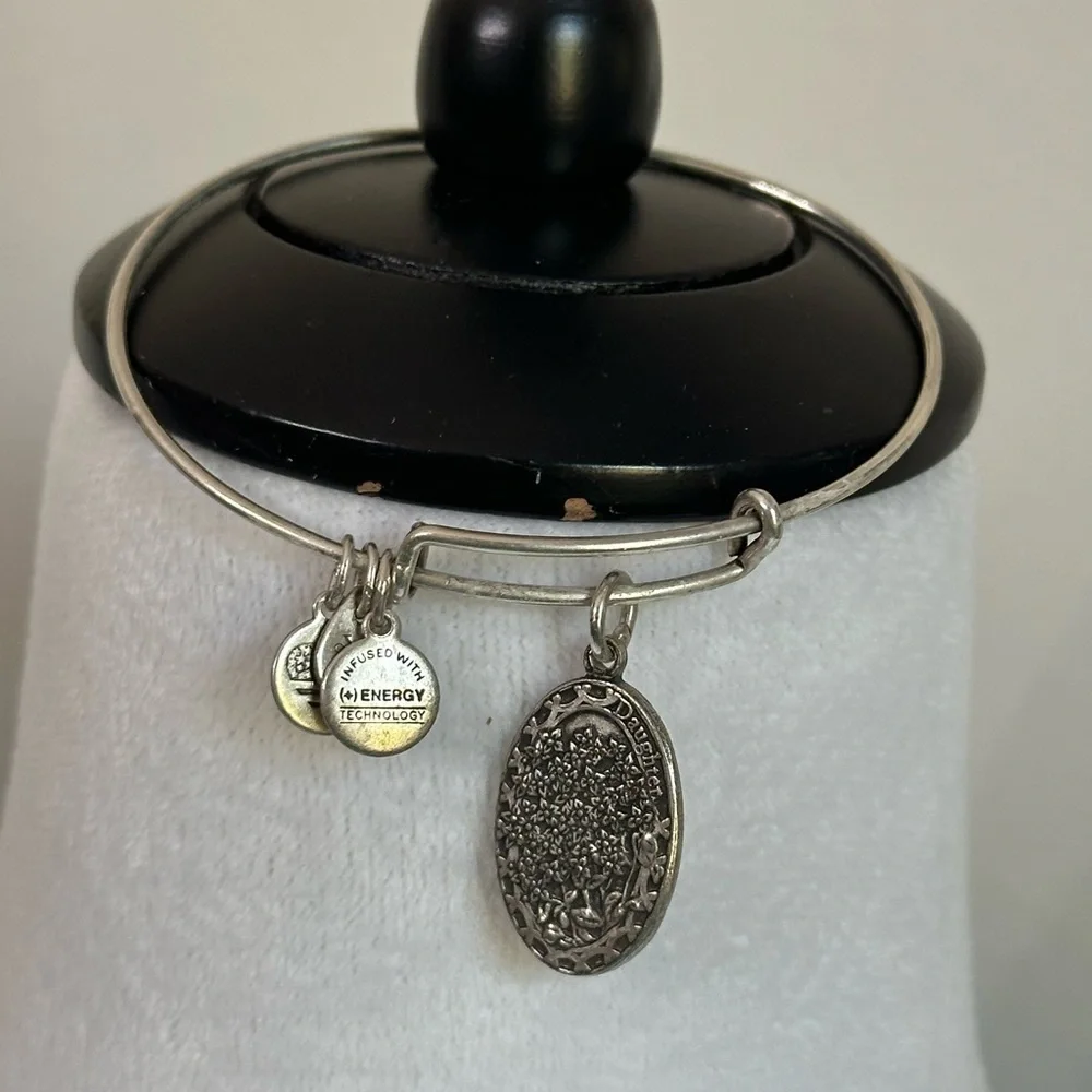 Daughter - Alex and Ani -Silver Bangle Bracelet with Charms
